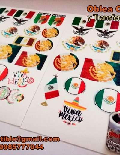 Oblea Gruesa Viva Mexico y Transfer para Gelatina