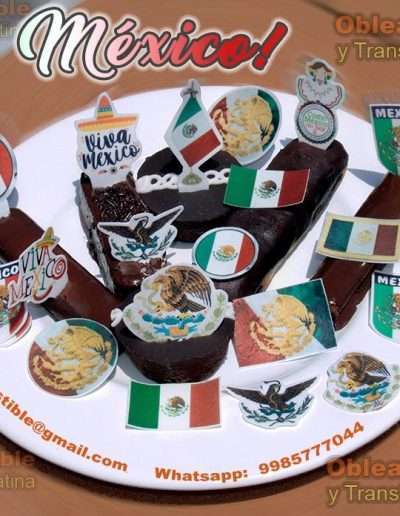 Oblea Gruesa Viva Mexico y Transfer para Gelatina