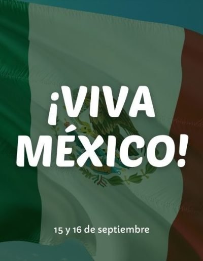 Que Viva Mx Bandera